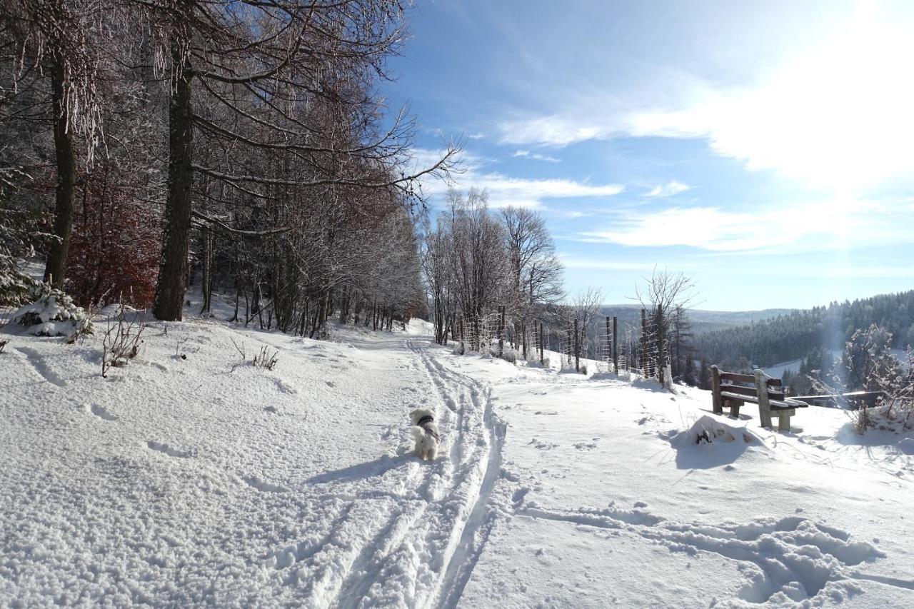 Haus Donnerberg Rehefeld Altenberg (Erzgebirge)